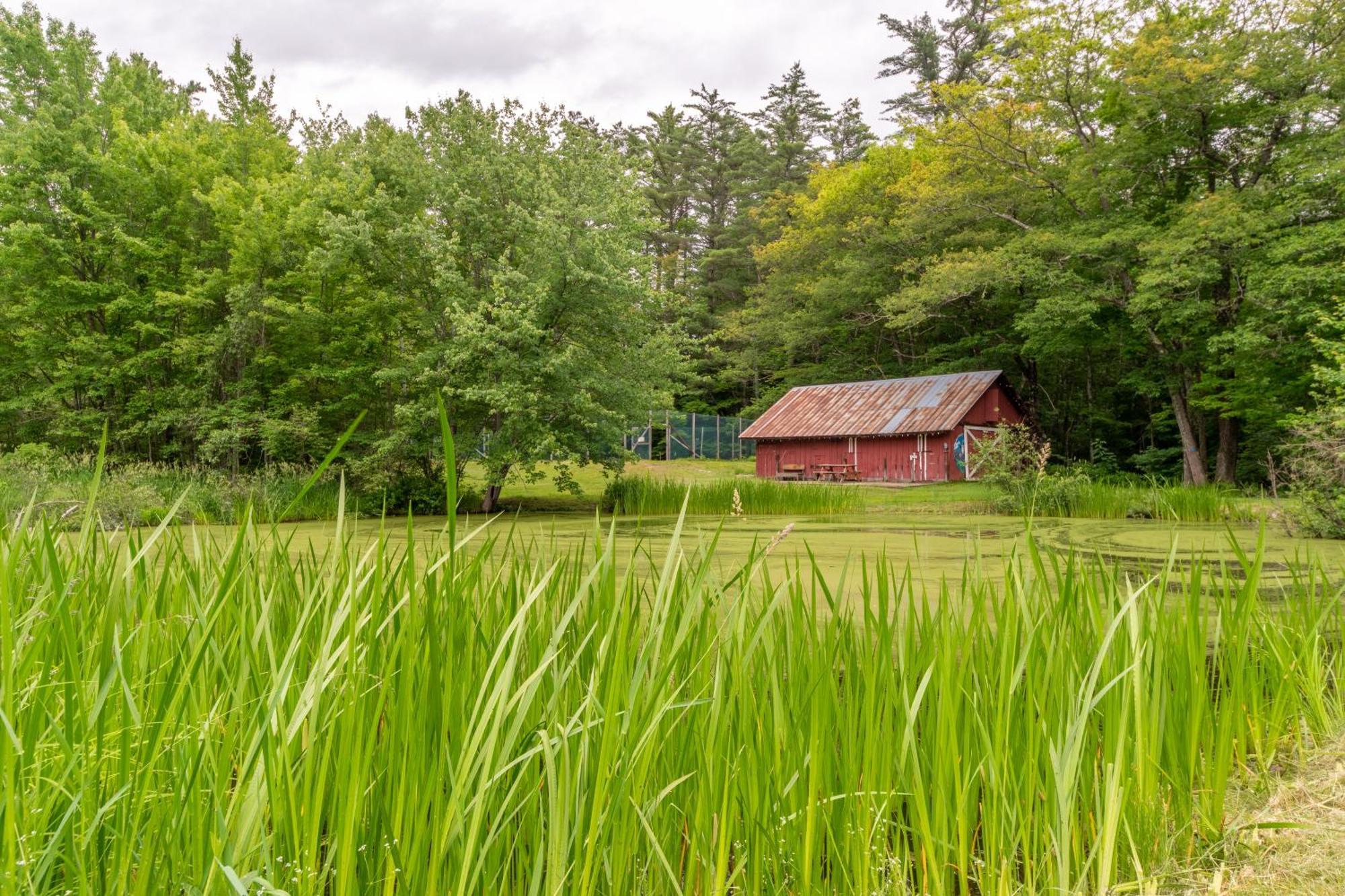 Cranmore Mountain Lodge Bed & Breakfast Норт-Конвей Экстерьер фото