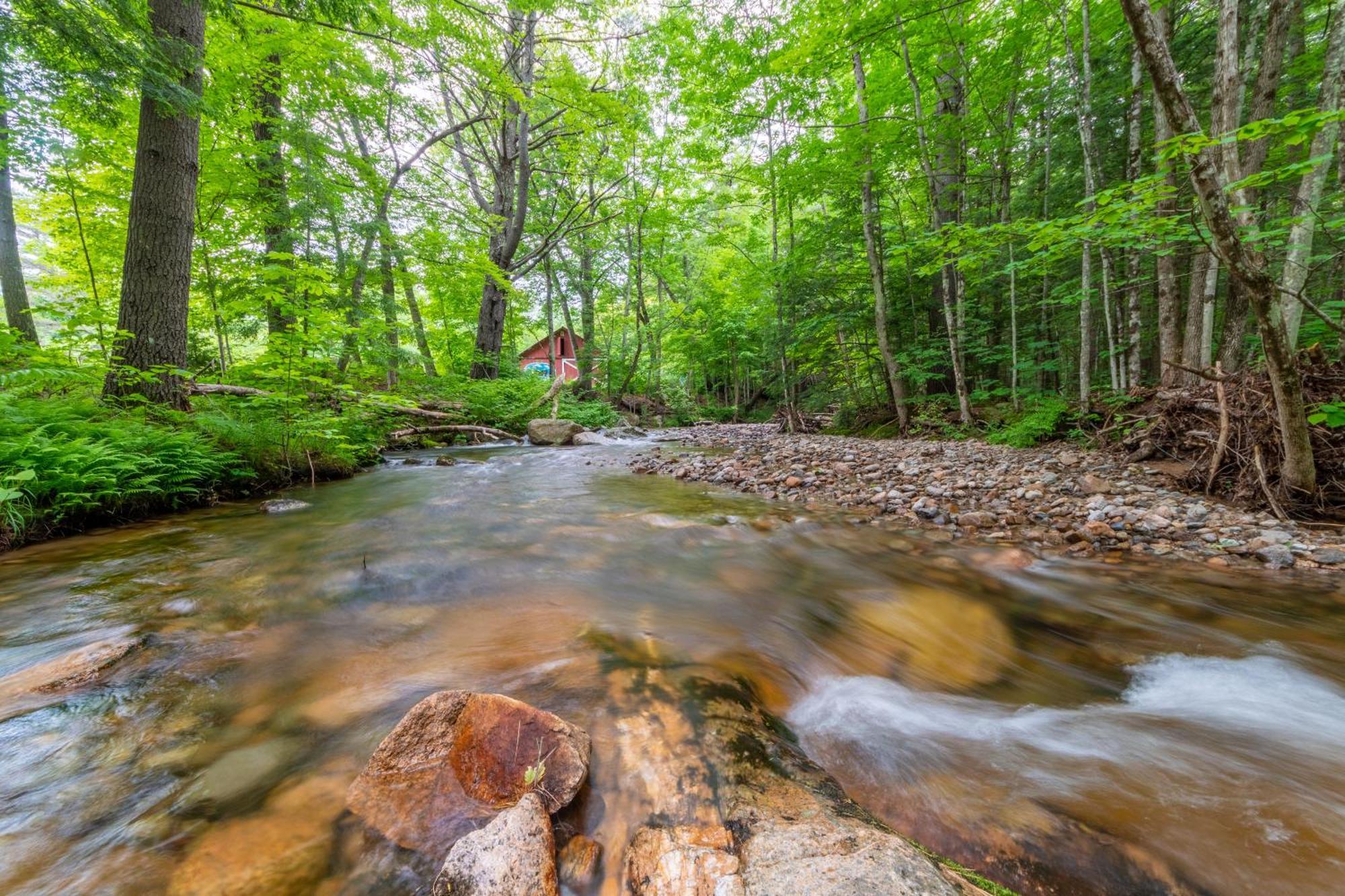 Cranmore Mountain Lodge Bed & Breakfast Норт-Конвей Экстерьер фото